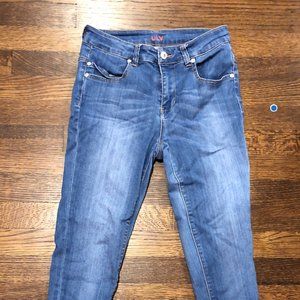 Delia's Liv Brand Skinny Jeans